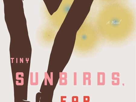 Tiny Sunbirds, Far Away Sale